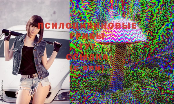 сатива Ладушкин