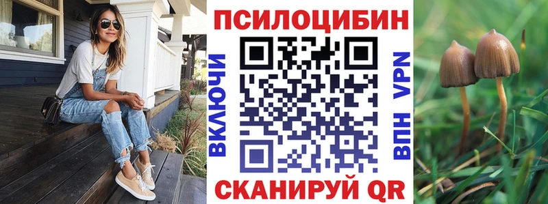 закладки  Новоржев  omg как зайти  Галлюциногенные грибы мицелий 