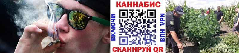 как найти наркотики  Новоржев  ссылка на мегу как войти  Шишки марихуана тримм 